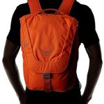 Osprey FlapJack Model